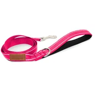 Лепо поводац пас