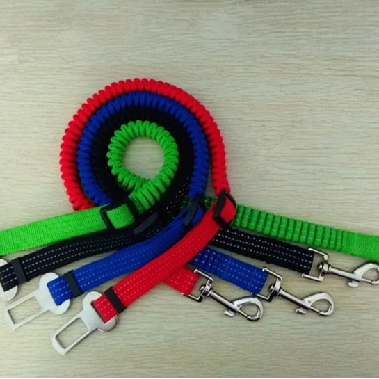 Bungee Dog Leashes best