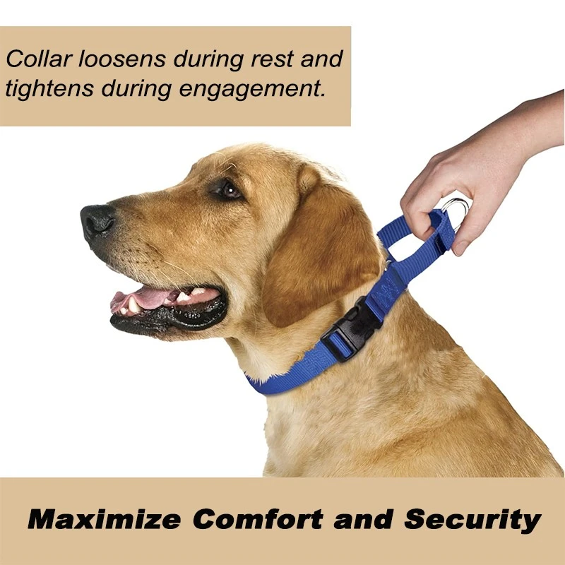 Martingale Dog Collar with Quick Snap Buckle With Quick-Snap Buckle