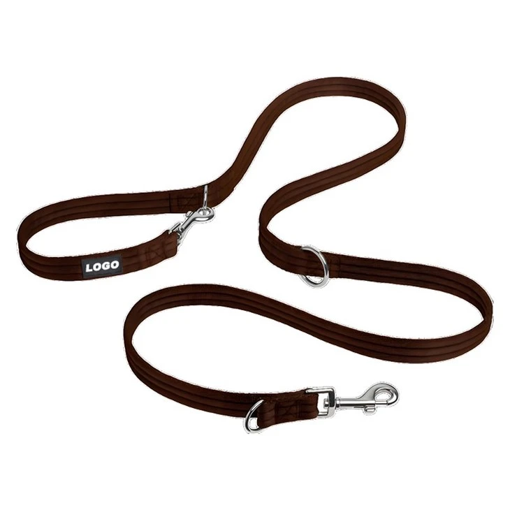 Secure Dog Leash